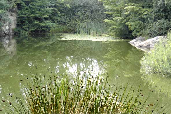 MCDBEN retouche photos